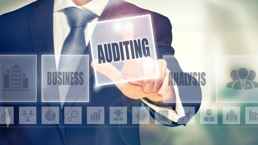 informatikai audit